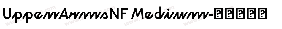 UppenArmsNF Medium字体转换